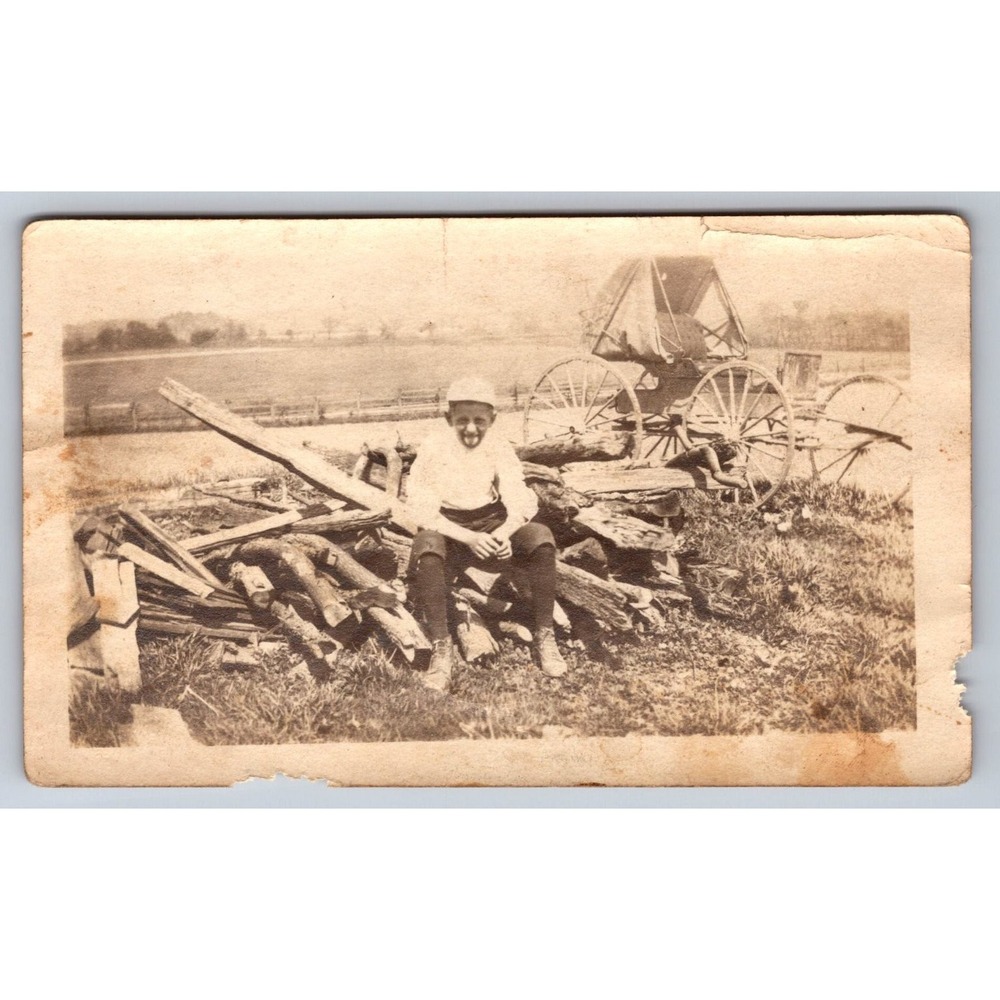 Young Boy Rural Scene Early 1900s Snapshot Photograph West Virginia Buggy